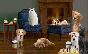A Family Holiday cat ecard