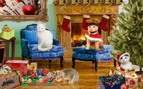 Christmas Time photo upload cat ecard