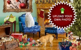 Christmas Time photo upload cat ecard