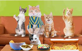 Game Night Birthday Cat Ecard