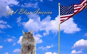 God Bless America cat ecard