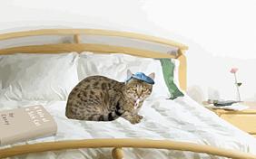 Get Well Soon ecard with cats