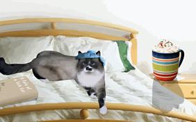 Rules For Getting Better ecard with cats