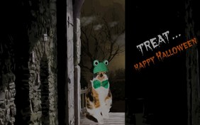 Halloween ecard with Cats