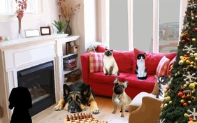 Home For The Holidays ecard with cats