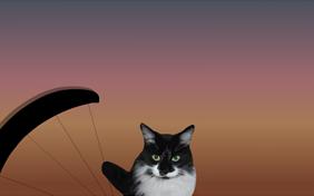 Just Say Hi ecard with cats
