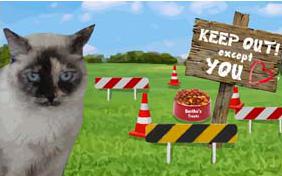 Keep Out Except You thank you ecard with cats
