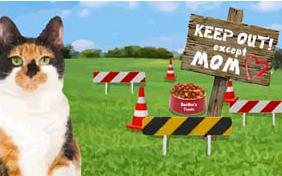 Keep Out! Except Mom Mother's Day cat ecard