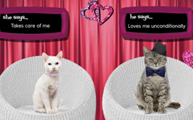Is It Love cat ecard