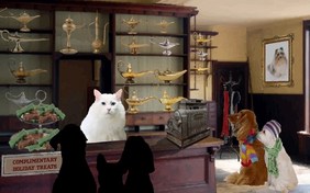 Magic Lamp Holiday cat ecard