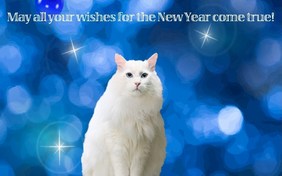 Magic Lamp New Year cat ecard