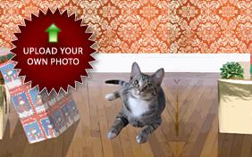 Merry Christmas: Upload Your Photo ecard with Cats