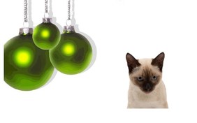 Merry Christmas holiday ecard with Cats