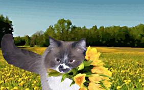 Mother's Day ecard with cats