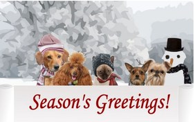 A Holiday Message cat ecard
