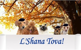 A Rosh Hashanah Message cat ecard