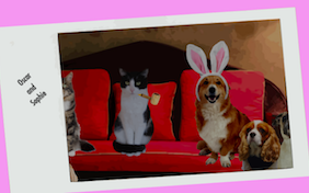 Easter Wishes ecard with cats