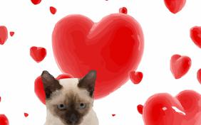 Love at first sight ecard with cats