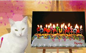 Congratulations ecard with cats