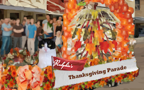 Thanksgiving Parade cat ecard