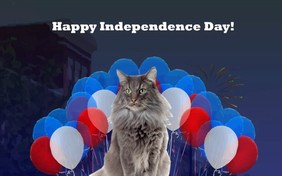 Independence Day Parade ecard with cats