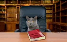 Life is Good cat ecard