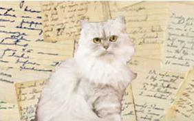 Love Poem ecard with cats