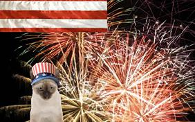Fourth of July ecard with Cats