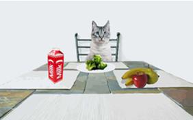 New Year's Resolutions ecard with Cats