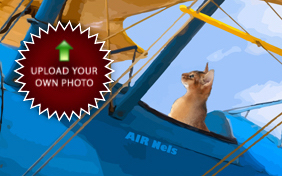Happy Birthday Four Ways photo upload ecard with cats
