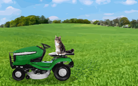 Father's Day Wishes ecard with cats