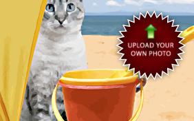 I Love You Photo Upload ecard with cats