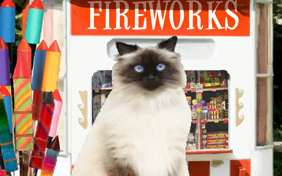 Happy New Year Four Ways photo upload ecard with cats