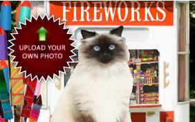 Happy New Year Four Ways photo upload ecard with cats