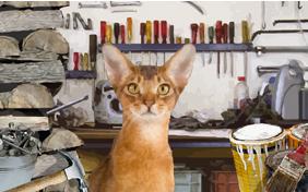 Season's Greetings cat ecard