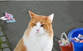 I'm Sorry Four Ways ecard with cats
