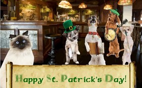 St. Patrick's Day Fun cat ecard