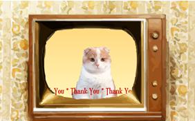 Thank You Four Ways cat ecard