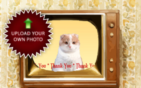 Thank You Four Ways photo upload cat ecard