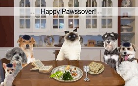 Passover Seder Plate cat ecard