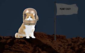 You're Out Of This World: Birthday ecard with cats