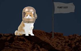 You're Out Of This World: New Year ecard with Cats