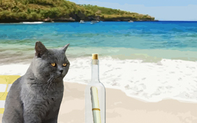A Special Message photo upload cat ecard