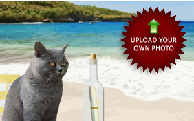 A Special Message photo upload cat ecard