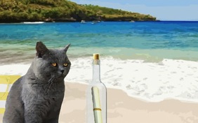A Special Message cat ecard