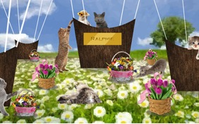Happy Spring cat ecard