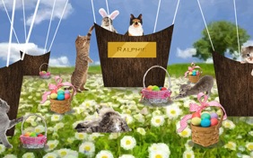 A Wonderful Easter cat ecard