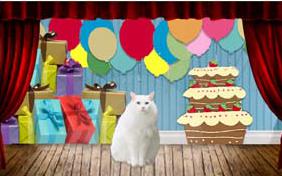 It's Just Me Happy Birthday cat ecard