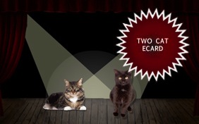 It's Just Us Happy Birthday ecard starring two cats