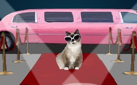 Rising Star cat ecard